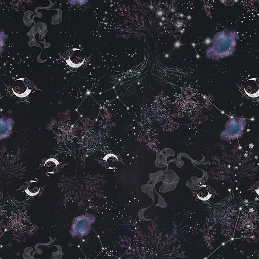Ground to Galaxy: A Celestial Journey in Outerwear